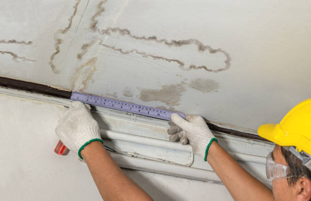 Reliable Burst Pipe Cleanup contractor in Elmwood, TN by Water Damage Irwin